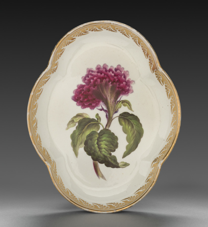 Quatrelobed Dish from Dessert Service: Coxcomb