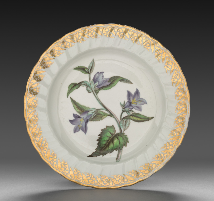Plate from Dessert Service: Nettle Leaved Bell Flower