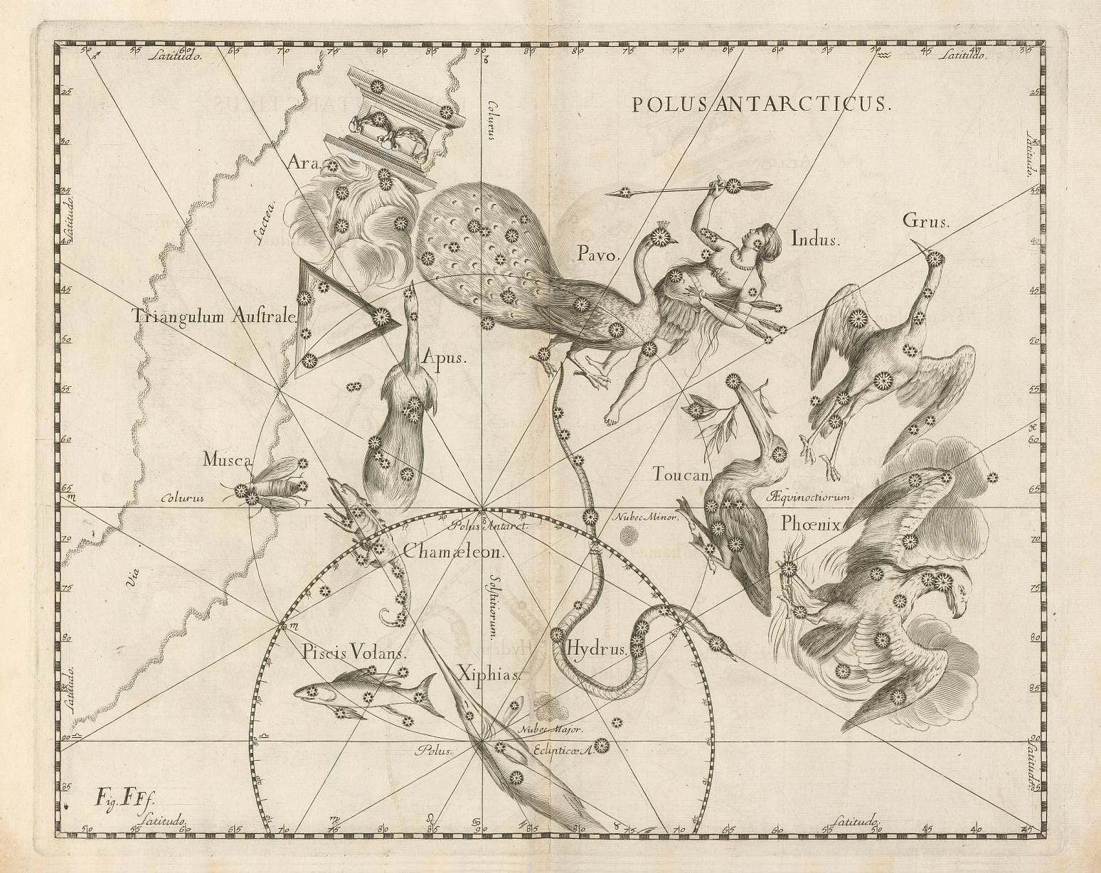 Eridanus and Phoenix