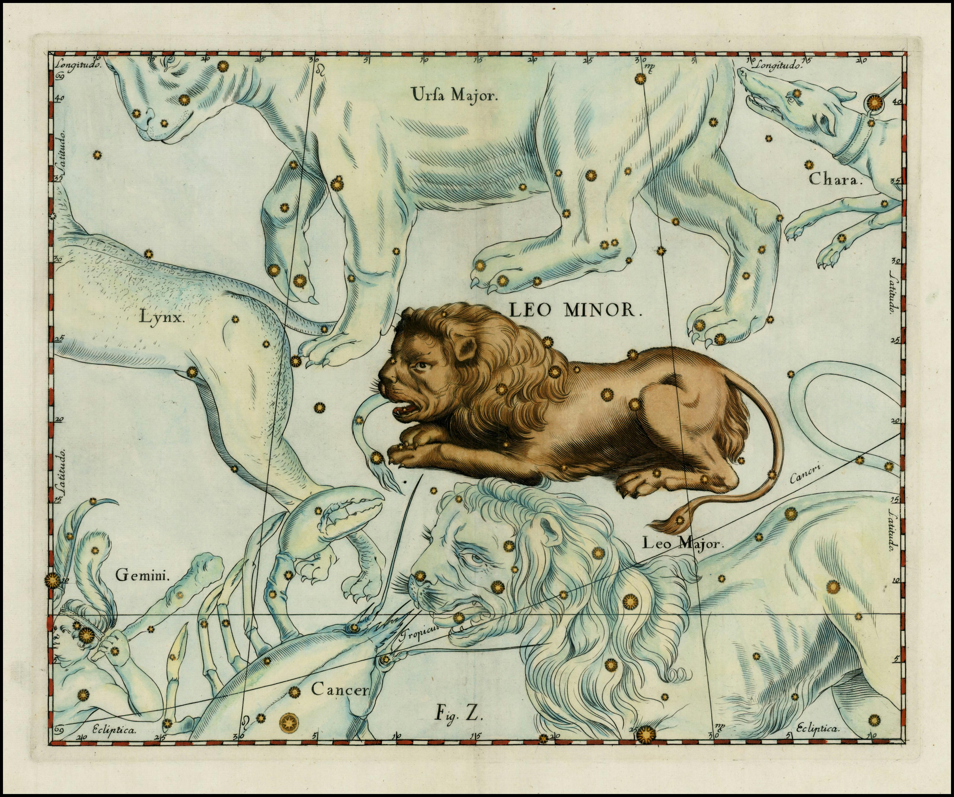 Leo Minor - The Lesser Lion