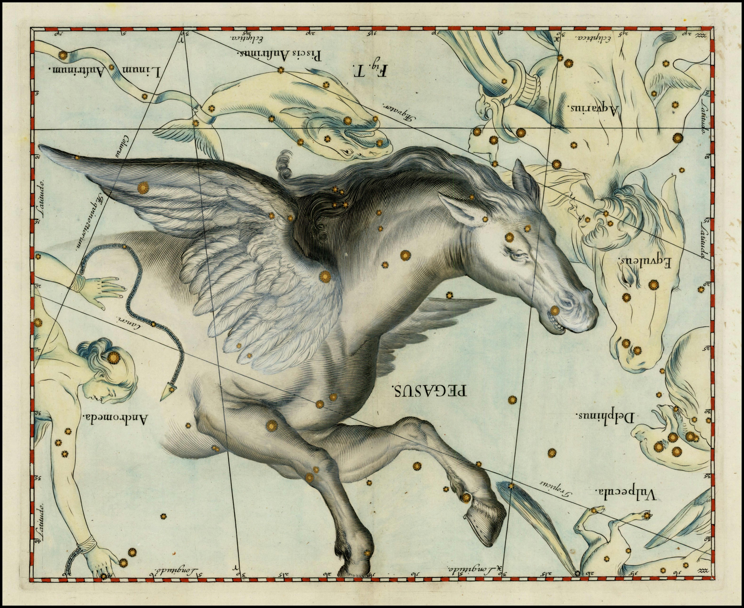 Pegasus - The Winged Horse