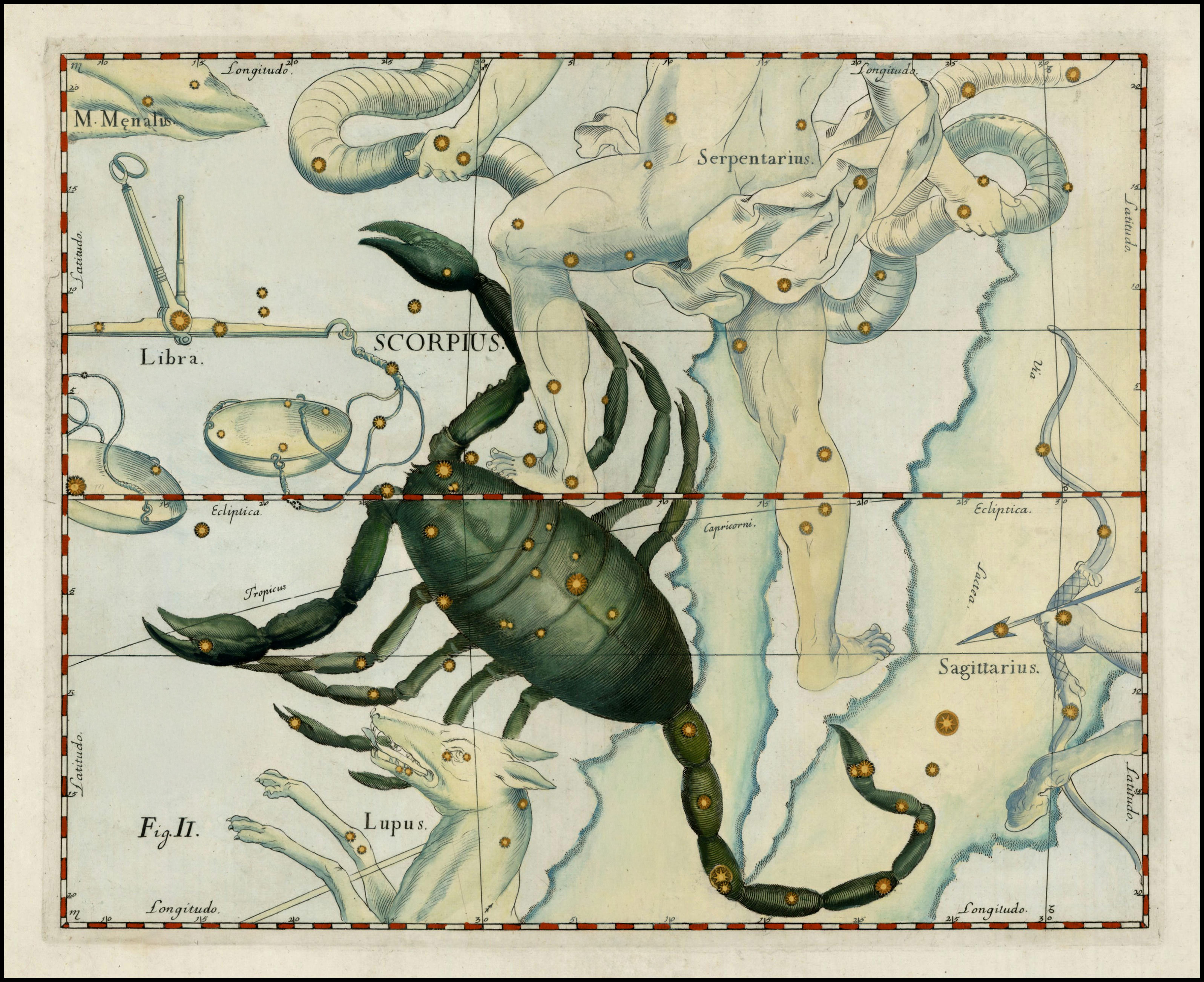 Scorpius - The Scorpion