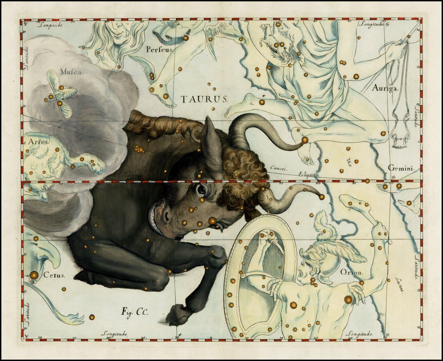 Taurus - The Bull