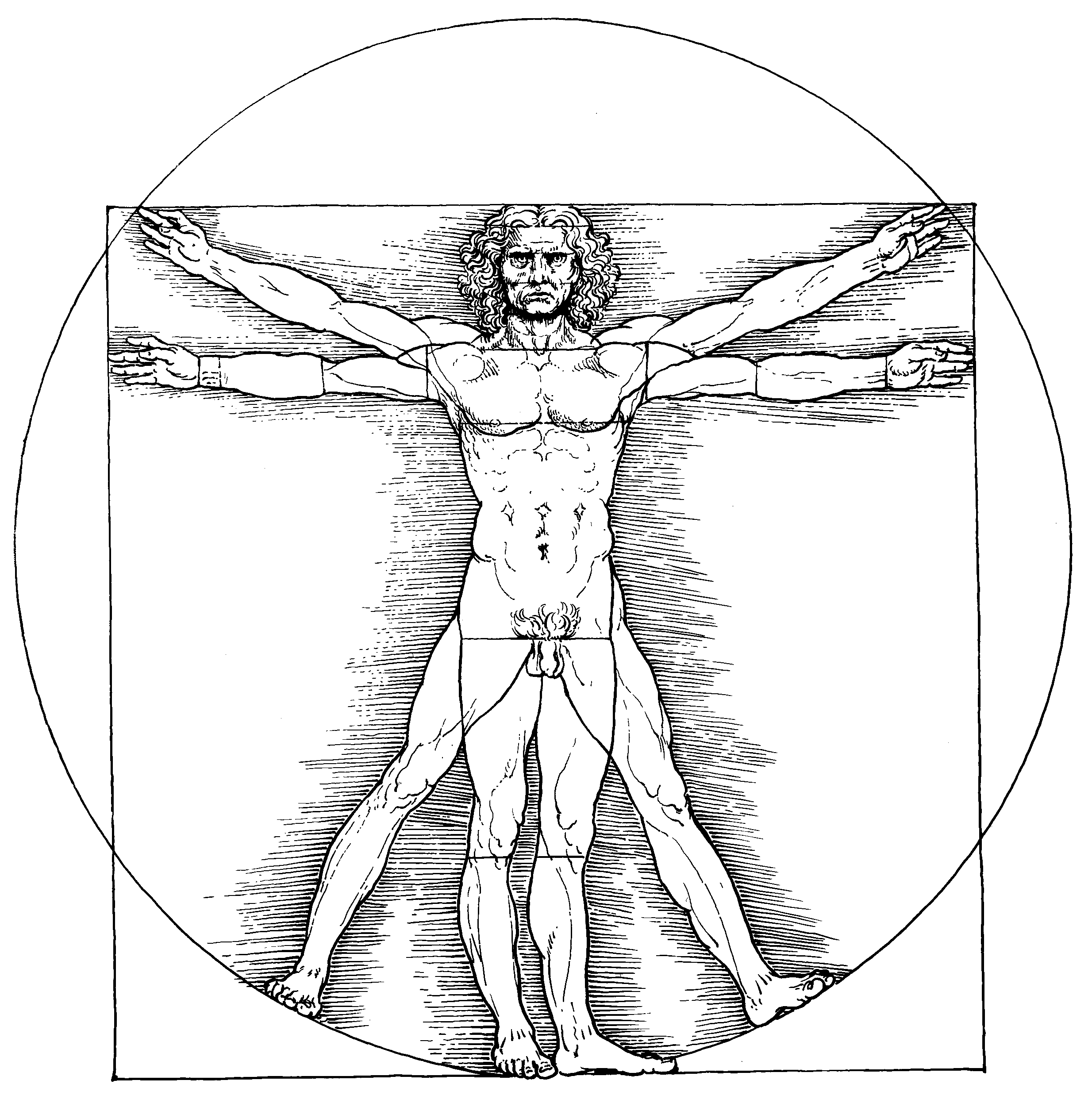 Vitruvian Man