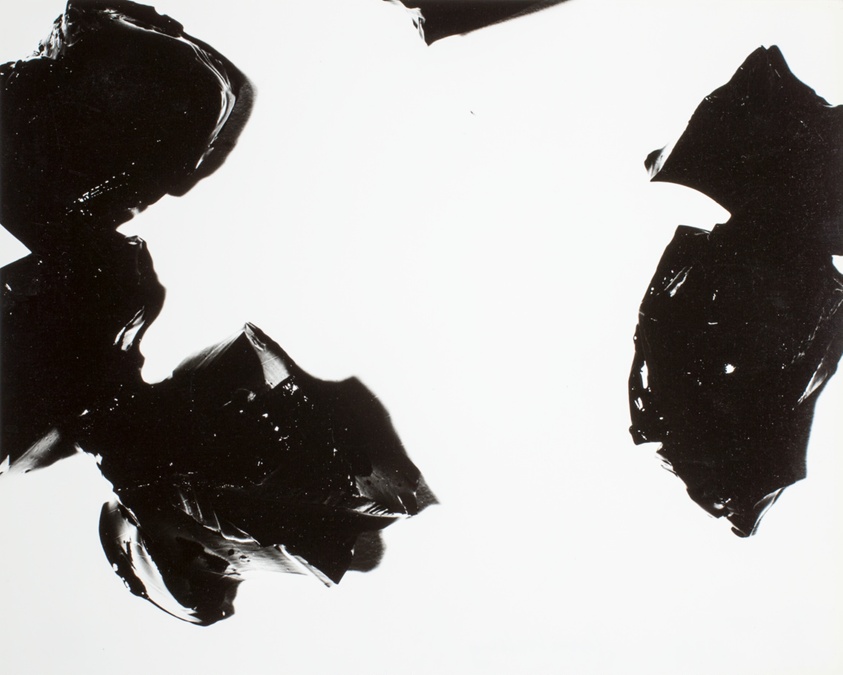 Gelatin Photograph 72, from the series "Gelatin Photographs"